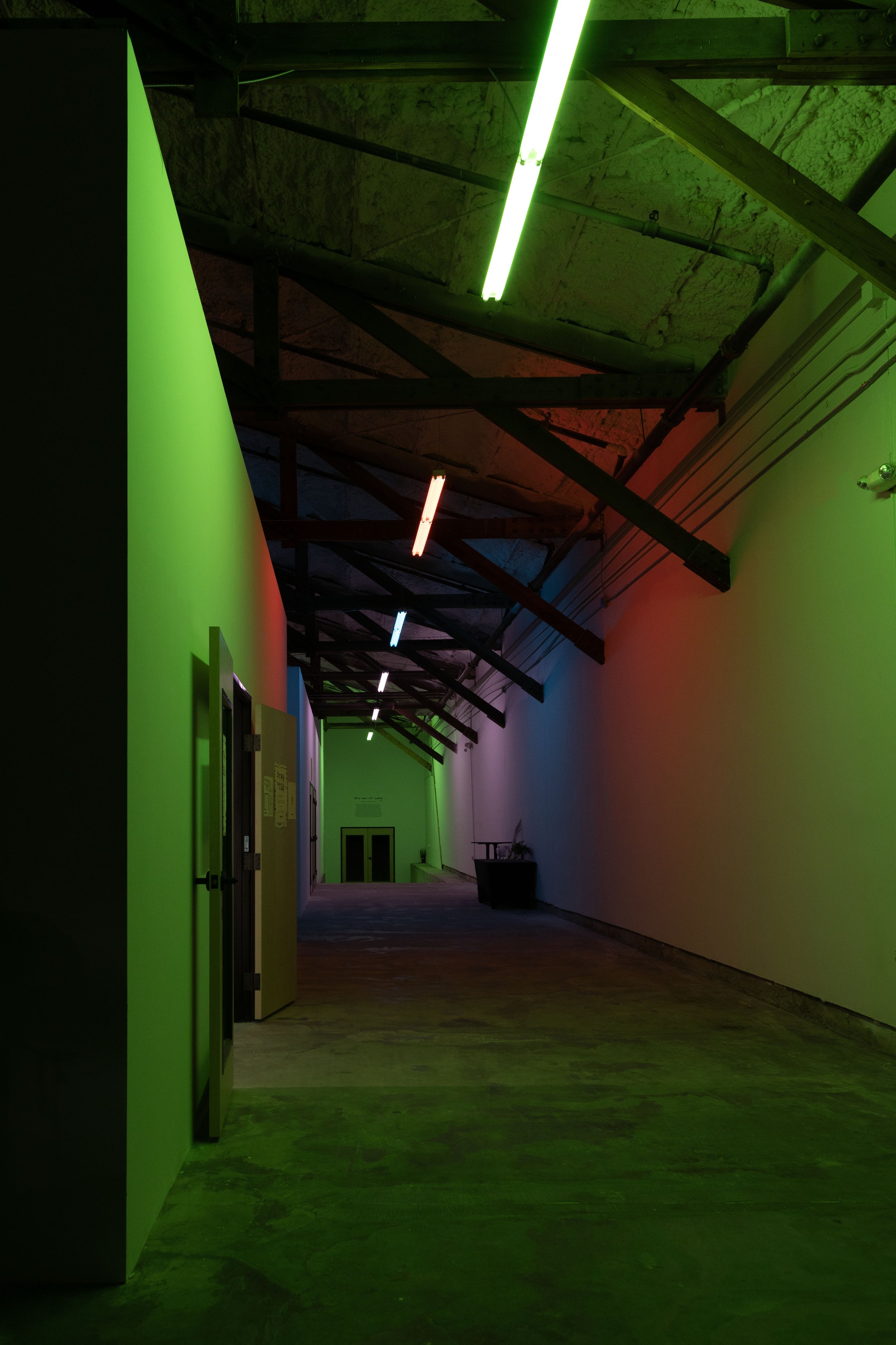 Rhizomatic Activation - Austin Central Library