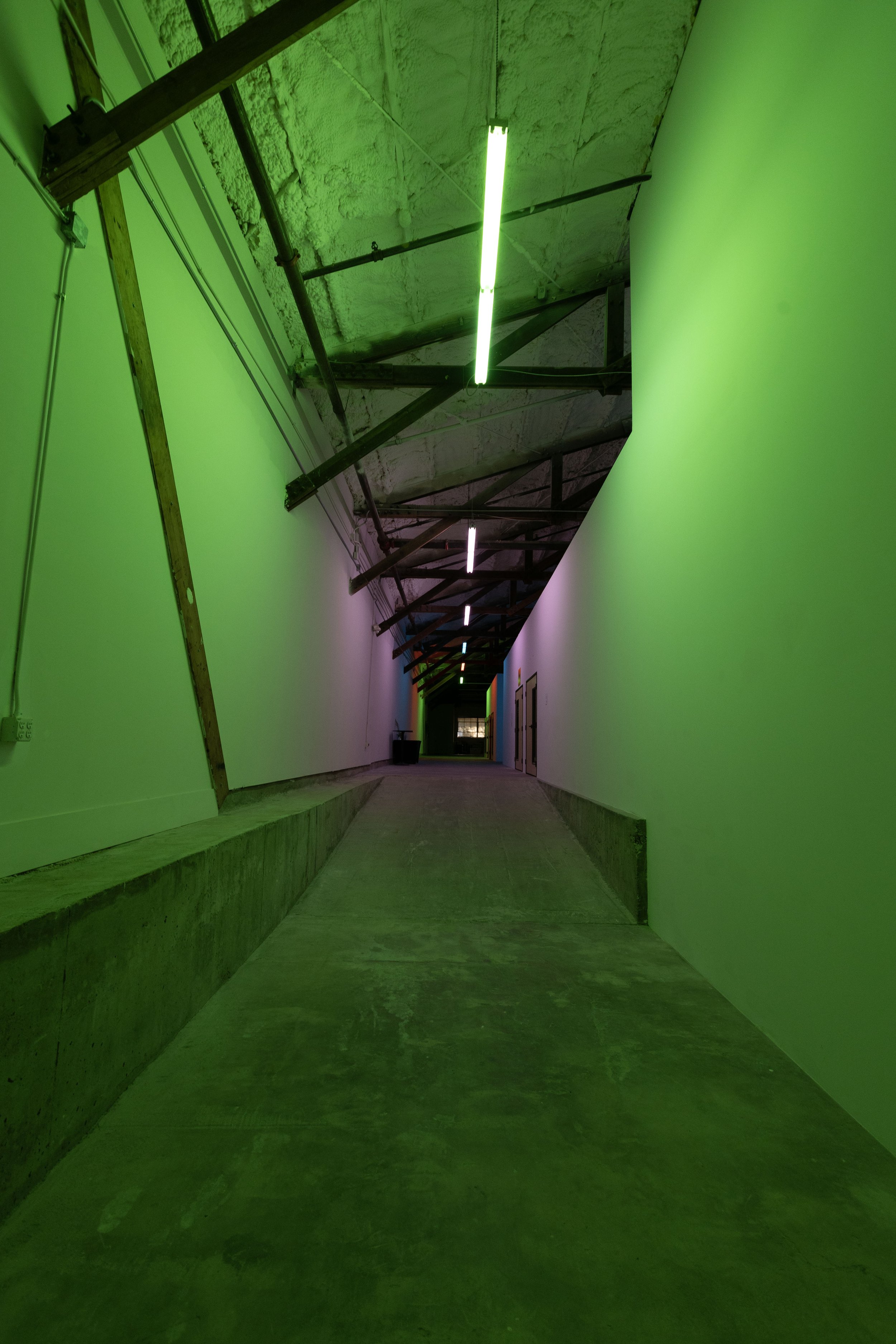 Rhizomatic Activation - Austin Central Library