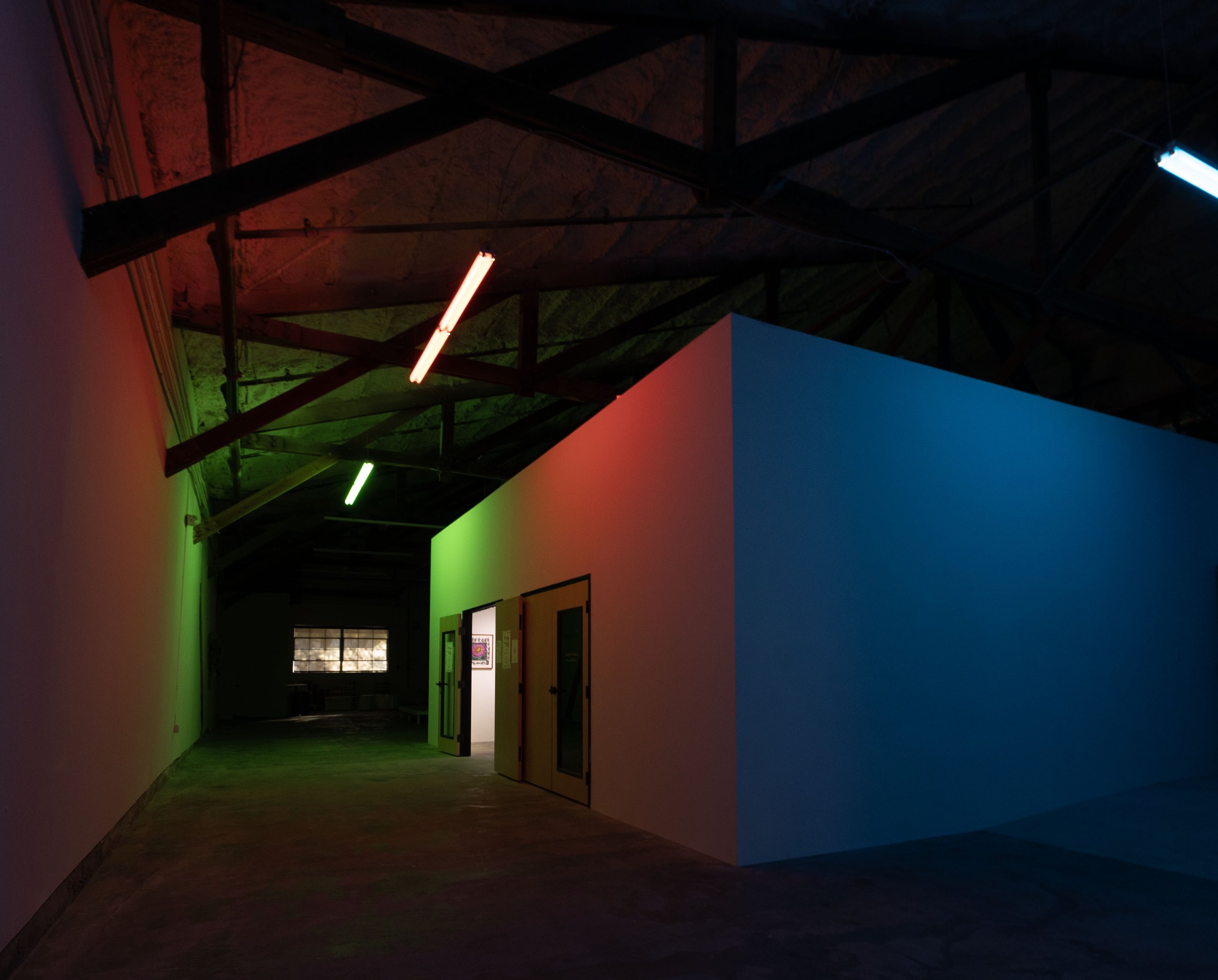 Rhizomatic Activation - Austin Central Library