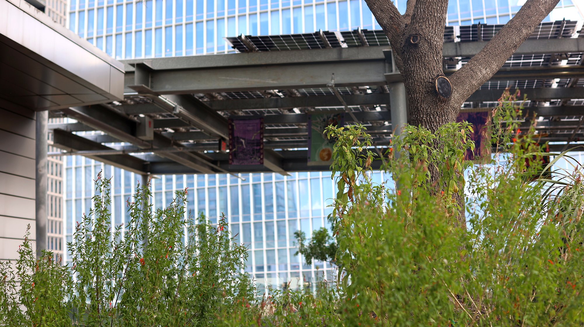 Visitors exploring the outdoor tapestry installation