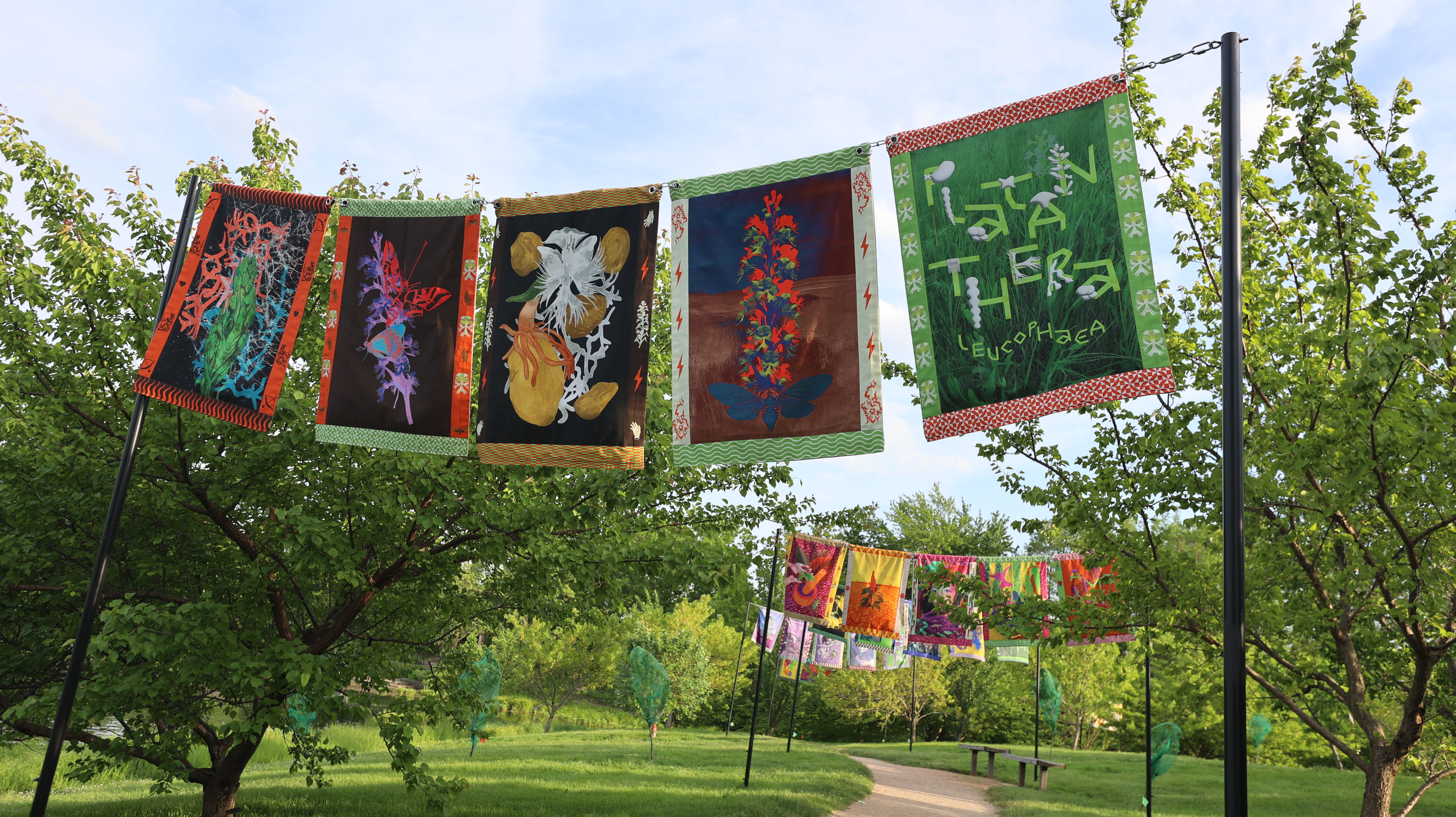 Rhizomatic installation view