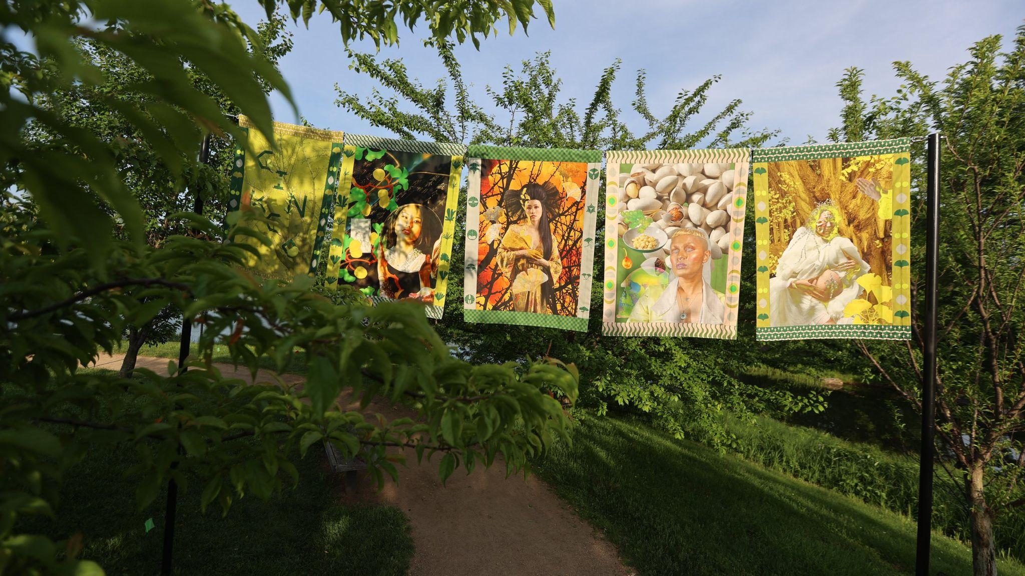 Ginkgo Tapestries