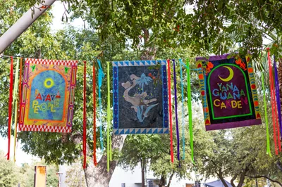 Rhizomatic Activation - Austin Central Library