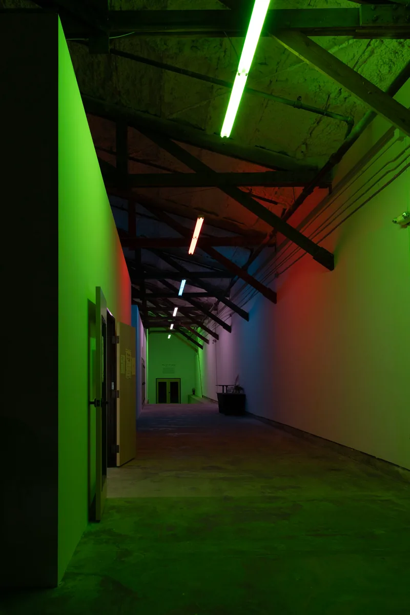 Rhizomatic Activation - Austin Central Library