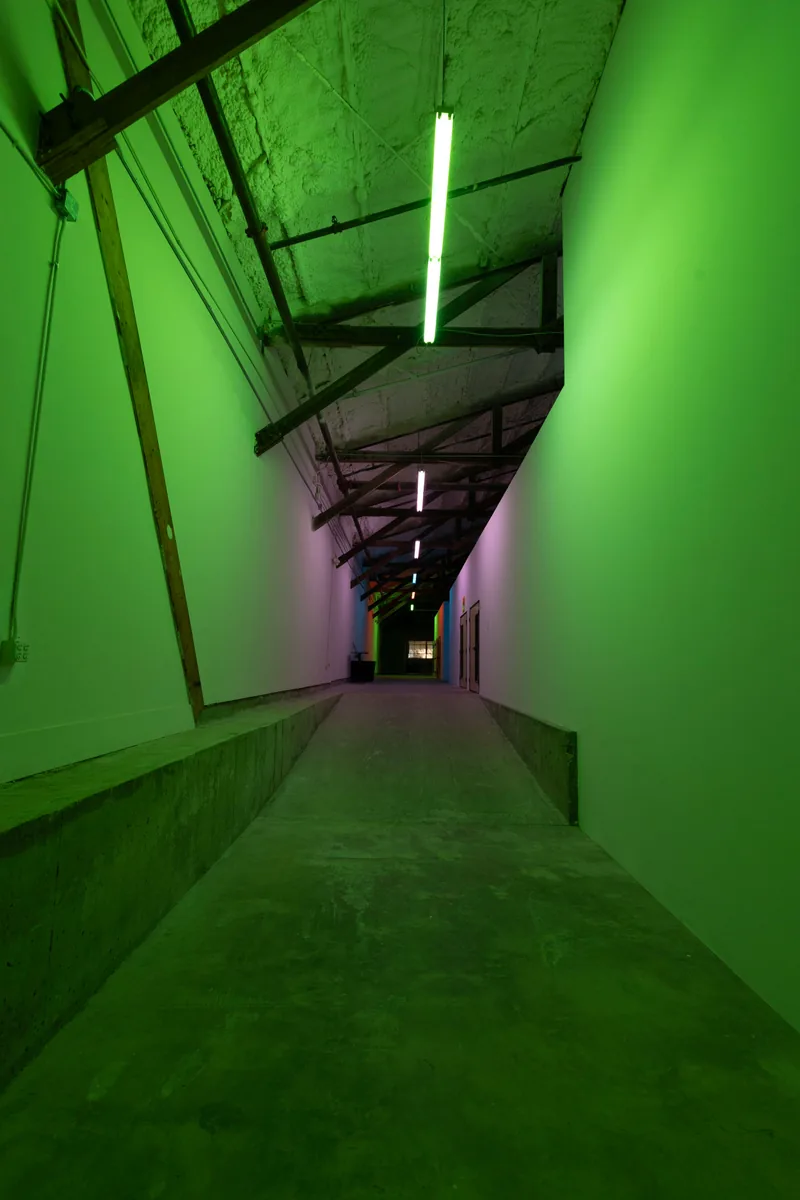 Rhizomatic Activation - Austin Central Library