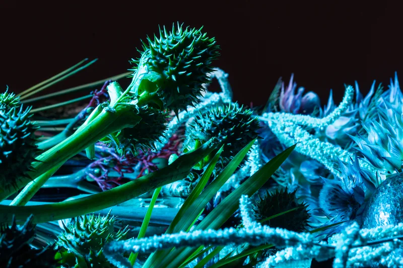 Photography by Essentials Creative