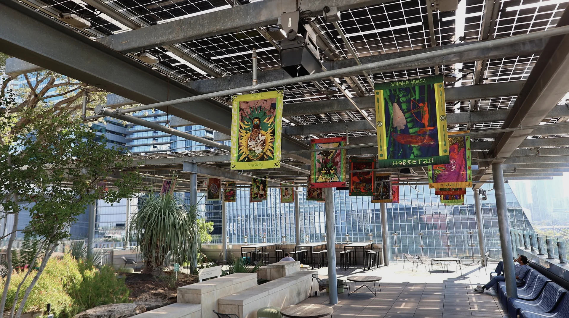 Rhizomatic at Austin Central Library