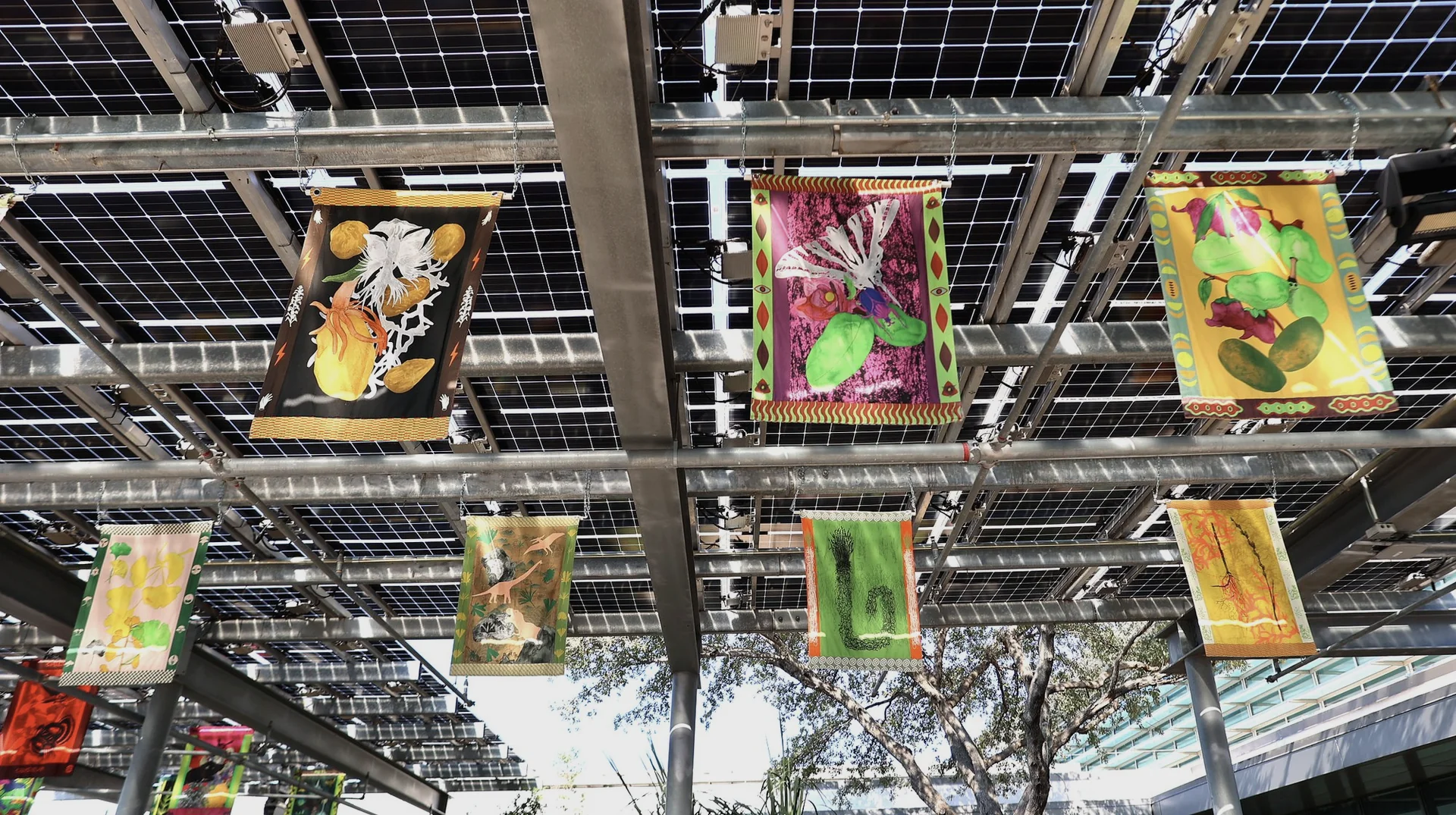 Rhizomatic Tapestry Display