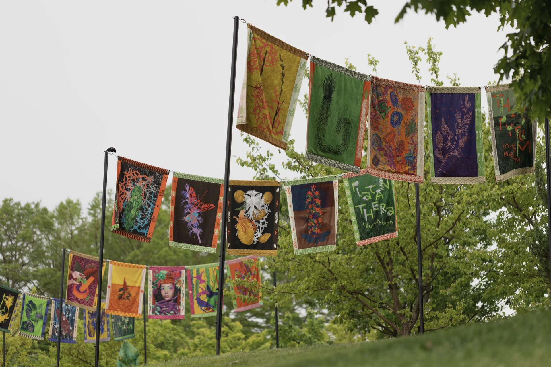 Rhizomatic at Chicago Botanic Garden