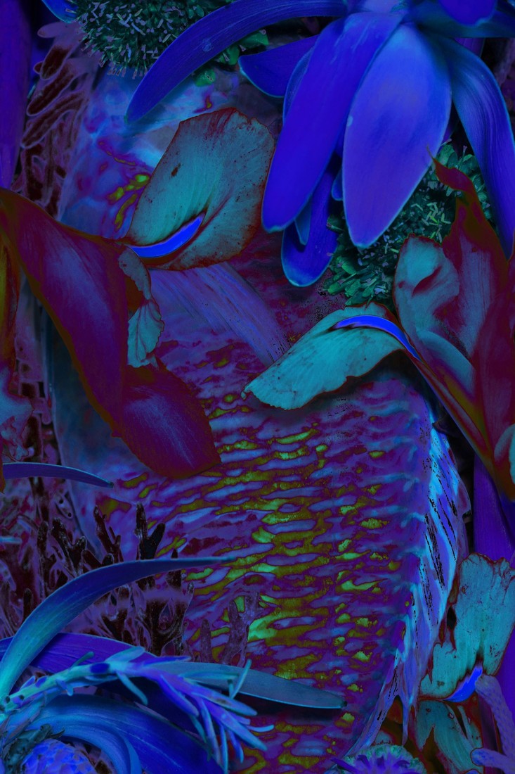 Botanical Macro Blue
