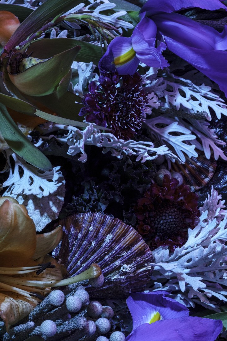 Flora