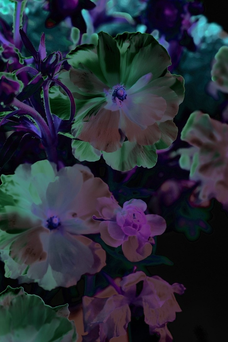 Floral Macro