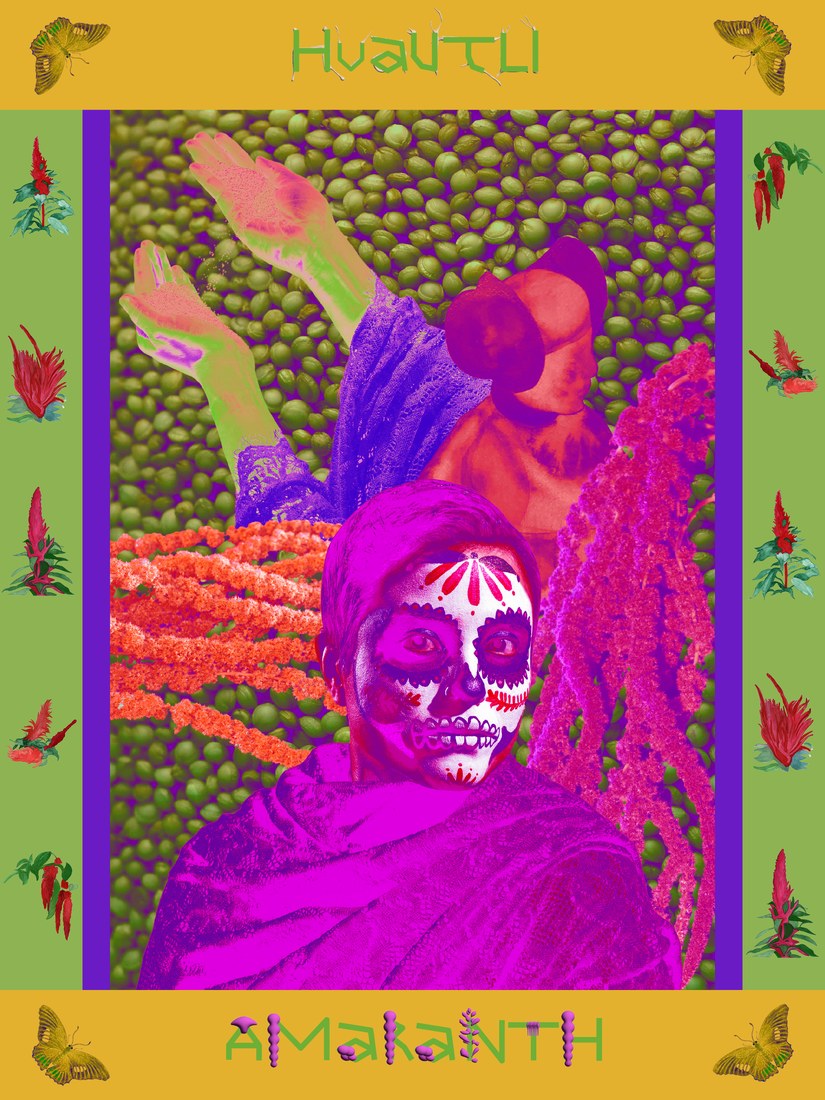 Huautli · Amaranth