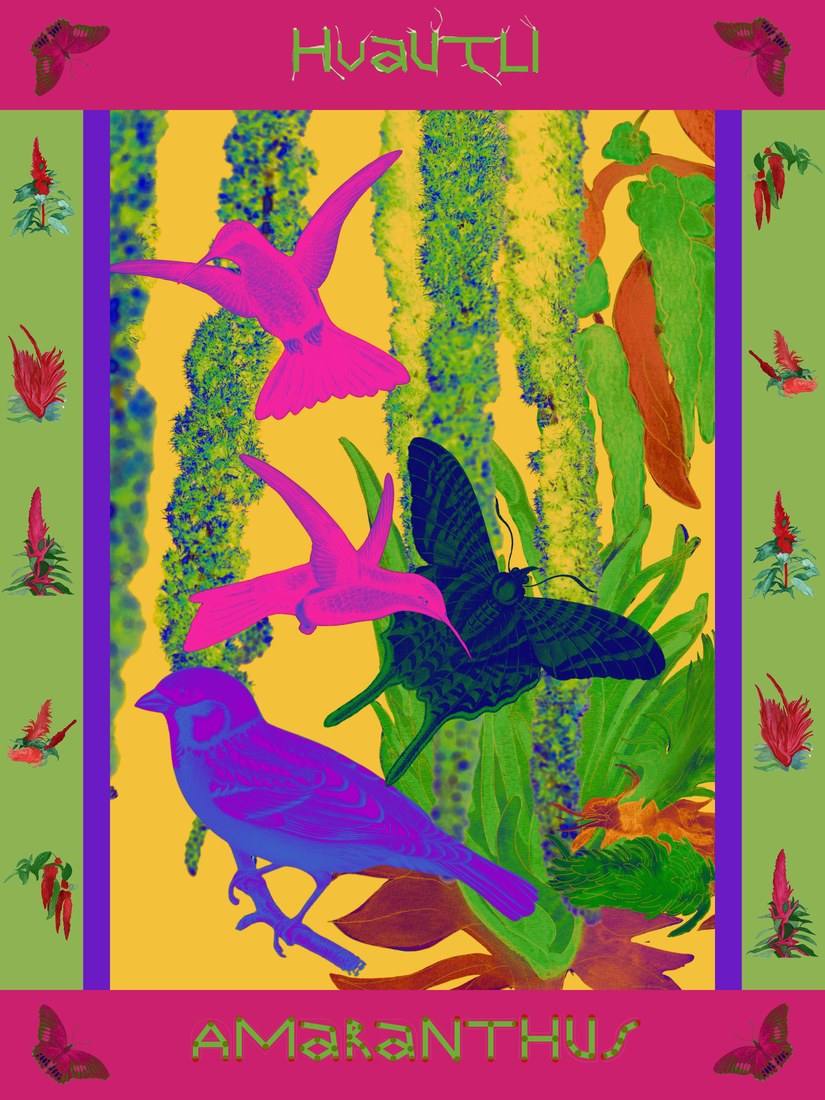 Huautli · Amaranthus