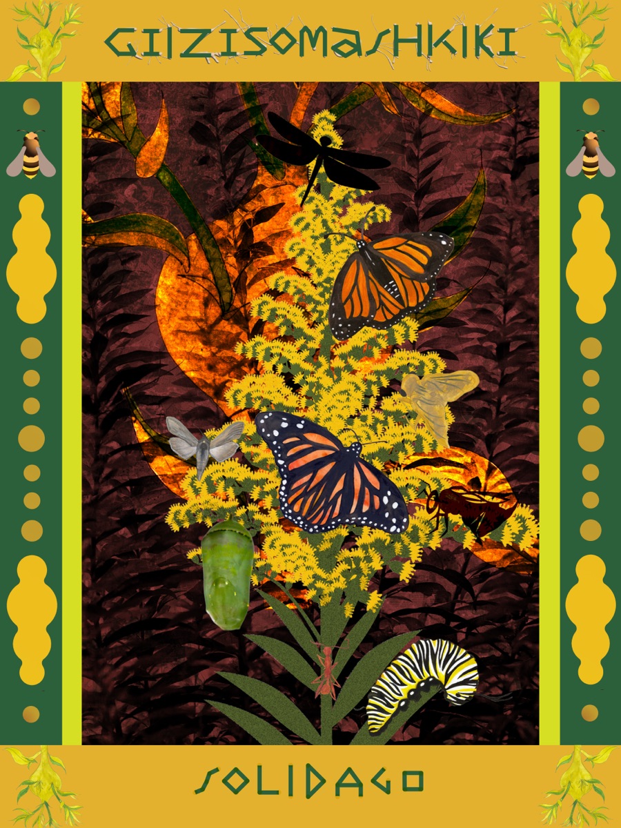 Gilzisomashkiki - Scientific Perspective