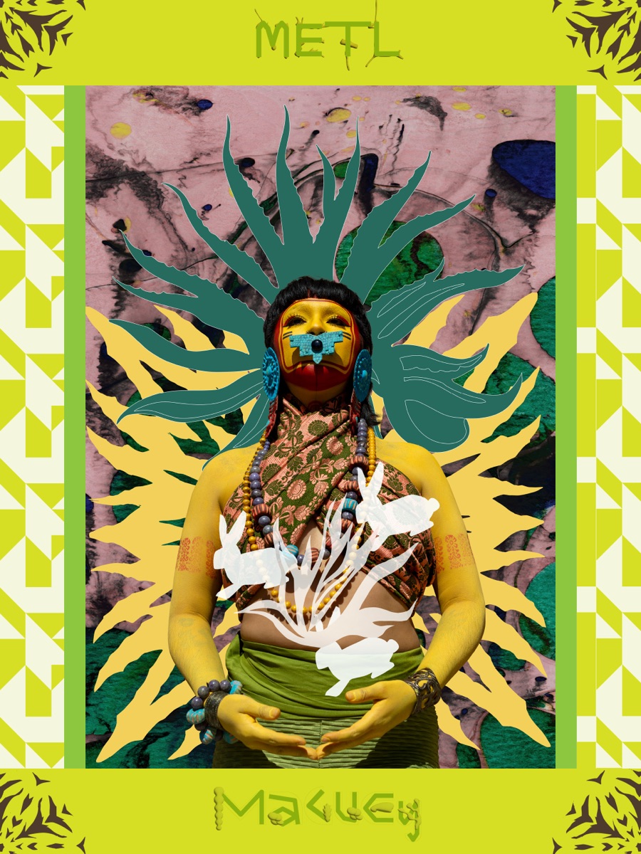 Metl (Agave) - Cultural Perspective