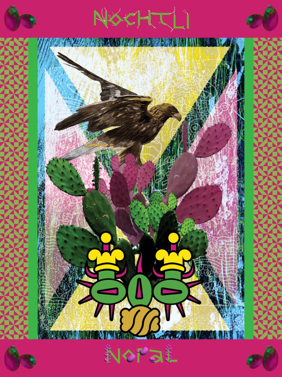 Nochtli (Prickly Pear) - Cultural Perspective