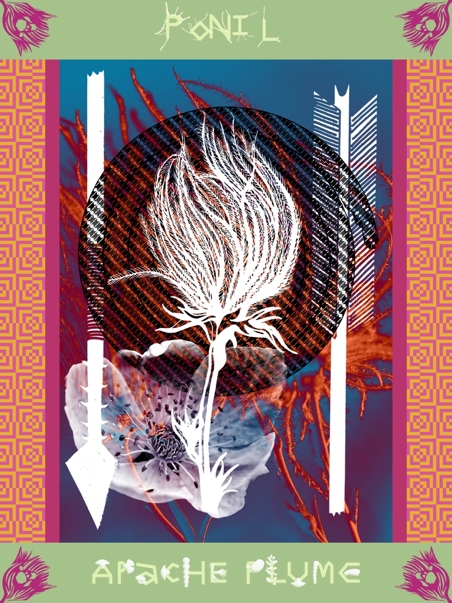 Ponil - Cultural Perspective