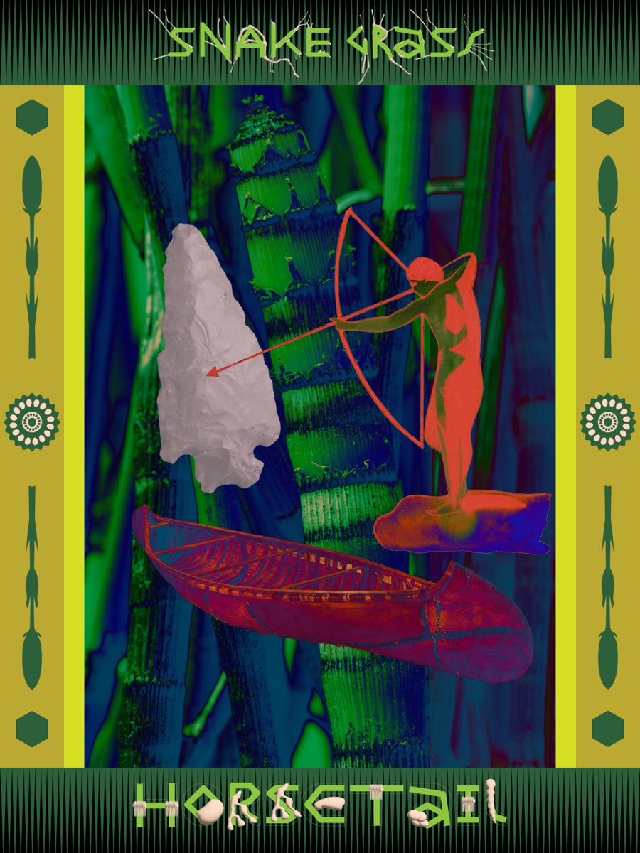 Snake Grass - Cultural Perspective