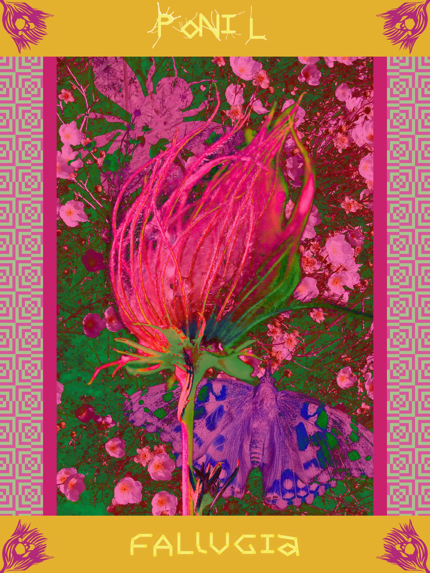 Ponil Scientific Side