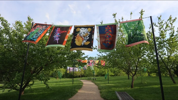 Essentials Creative's Rhizomatic at Chicago Botanic Garden