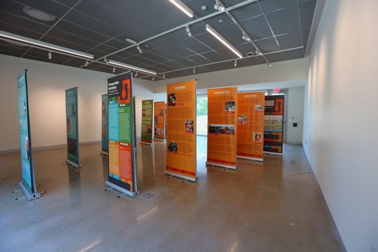 Emma S. Barrientos MACC — Interior